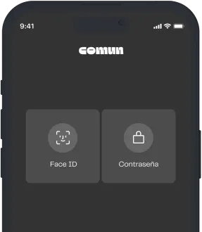 phone