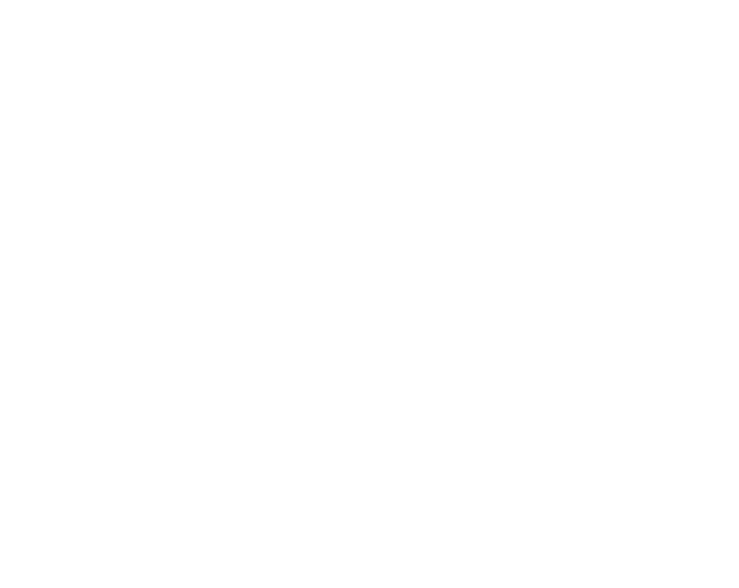Stella Artois